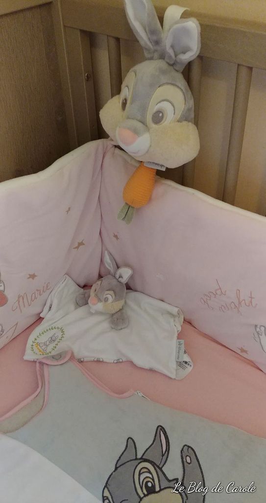 Le Lit Bebe De Ma Princesse Le Blog De Carole