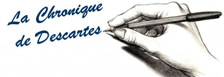 GILETS jaunes, idées noires… - sur le blog de Descartes -