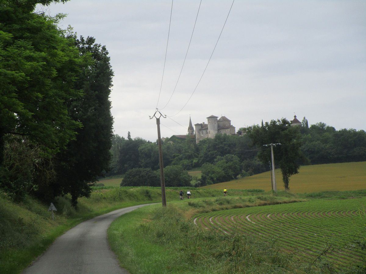 Au loin , le château de Fréchou .