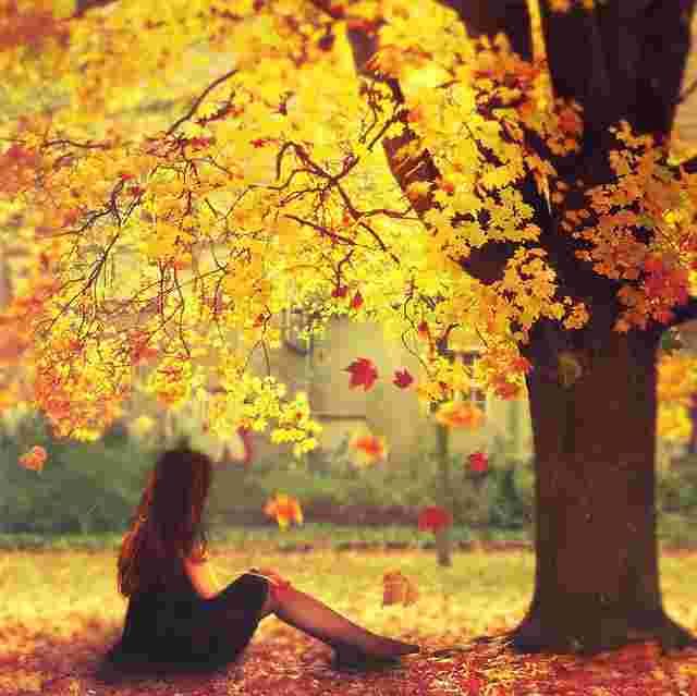 les arbres parlent