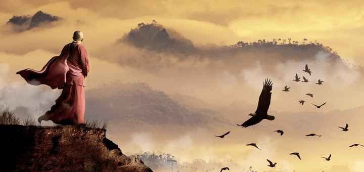 oiseau libre