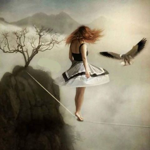 equilibre et compassion