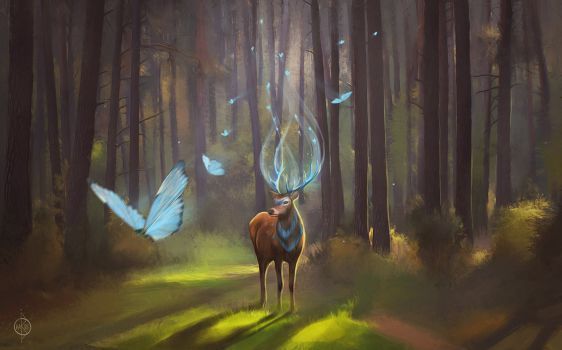 le chemin de l'éveil