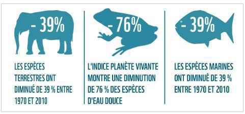 effondrement biodiversité