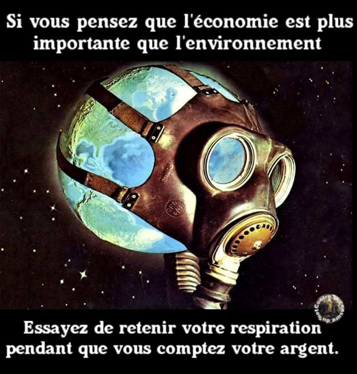 économie vs écologie