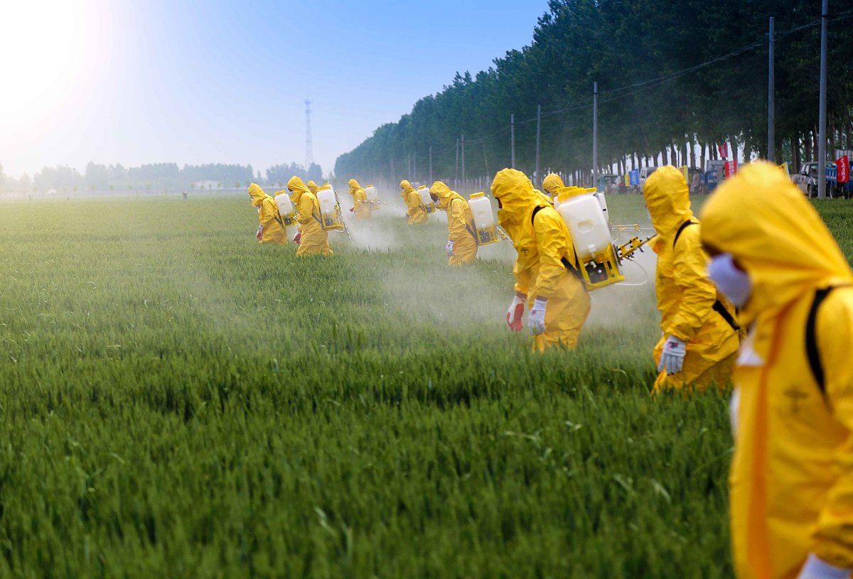 épandage glyphosate