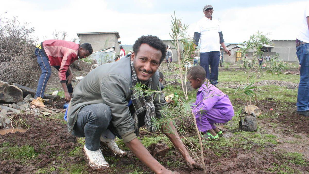 Ethiopie-plante-350-millions-d-arbres