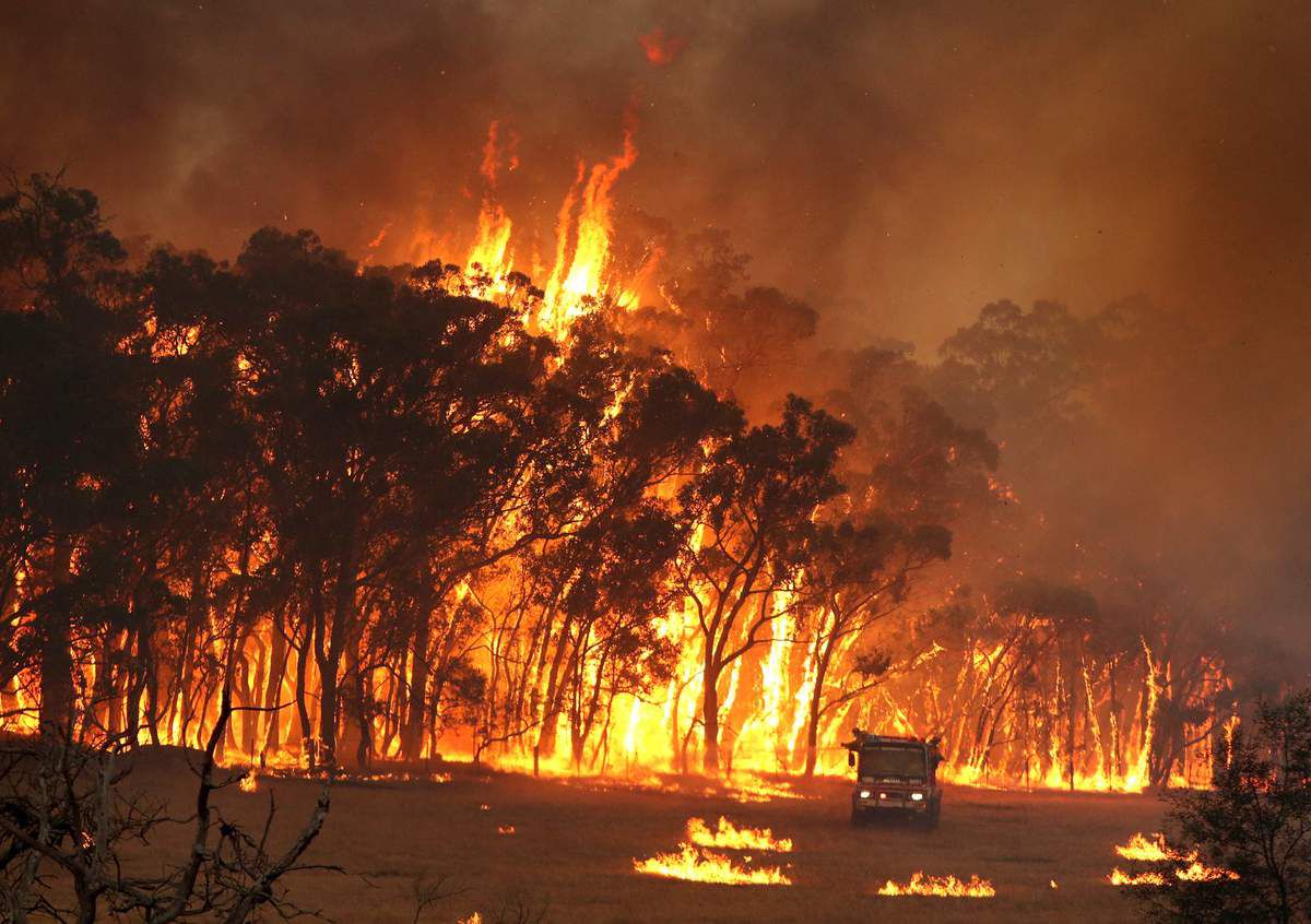 incendies-australie
