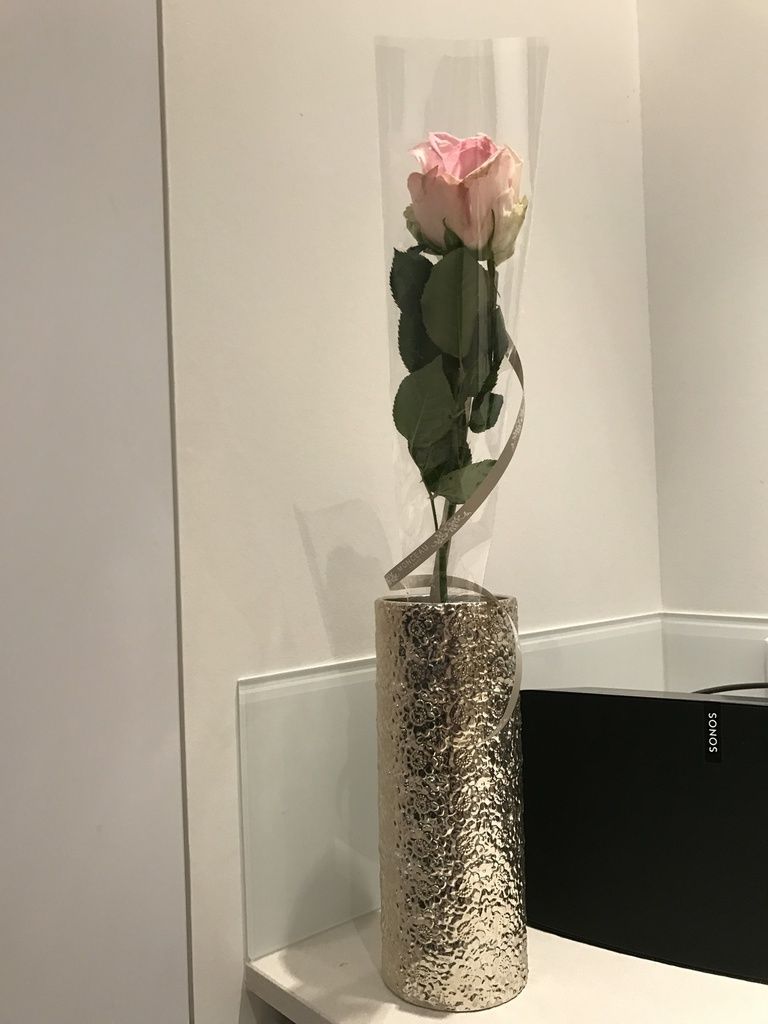 rose du Taichi, merci Zen&Zing!