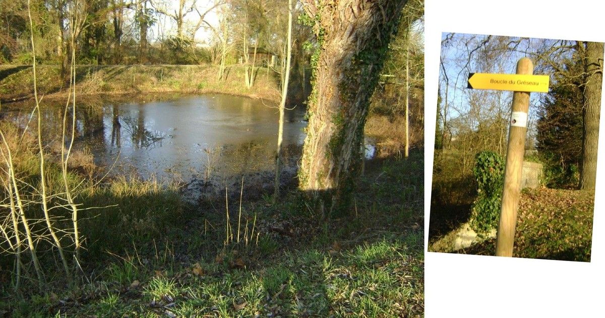 Sainte Eulalie Club Rando Carbon Blanc