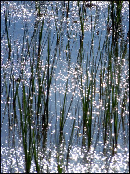 Saint-Nazaire-de-Pézan (34) - 8 avril 2015, 17 H 24