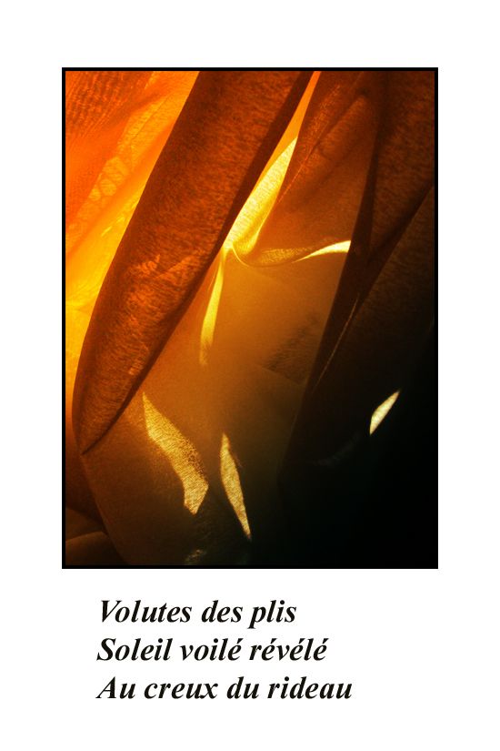 31 janvier 2013, 13 H 56