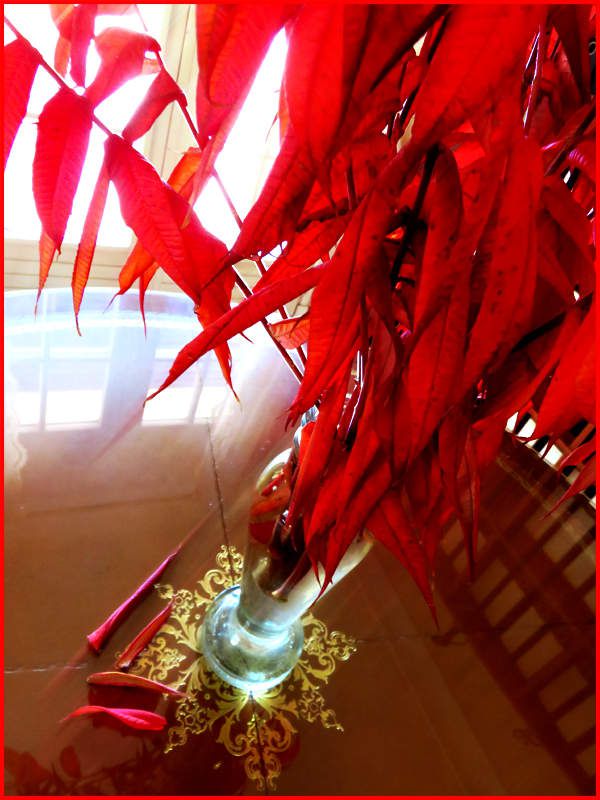 6 novembre 2017, 14 H 14