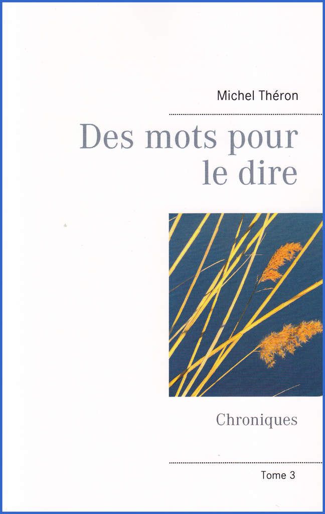 Des mots pour le dire Tome 3 (2017) Le blog de michel.theron.over