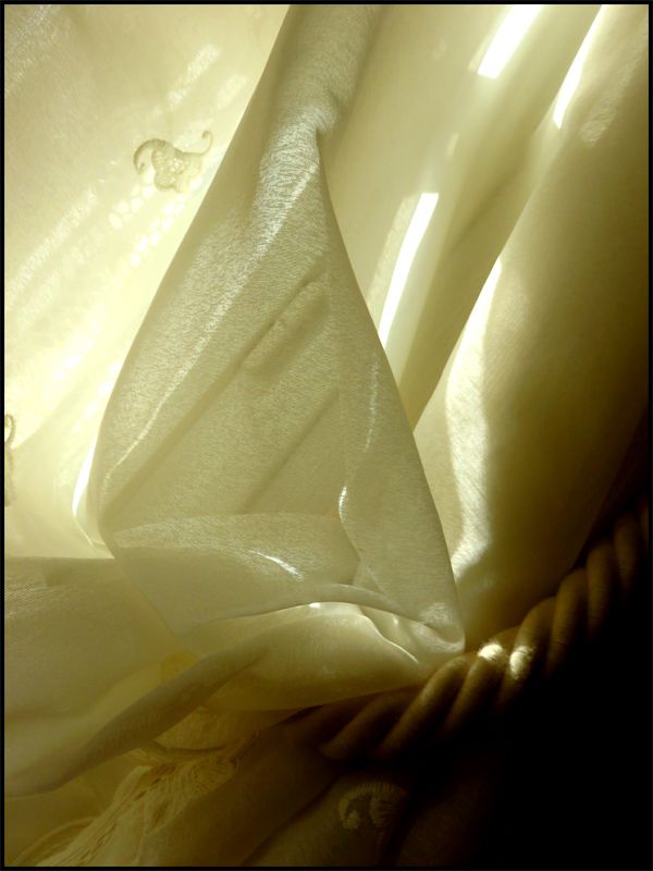 Dans mon salon - 19/12/2017, 14 H 08