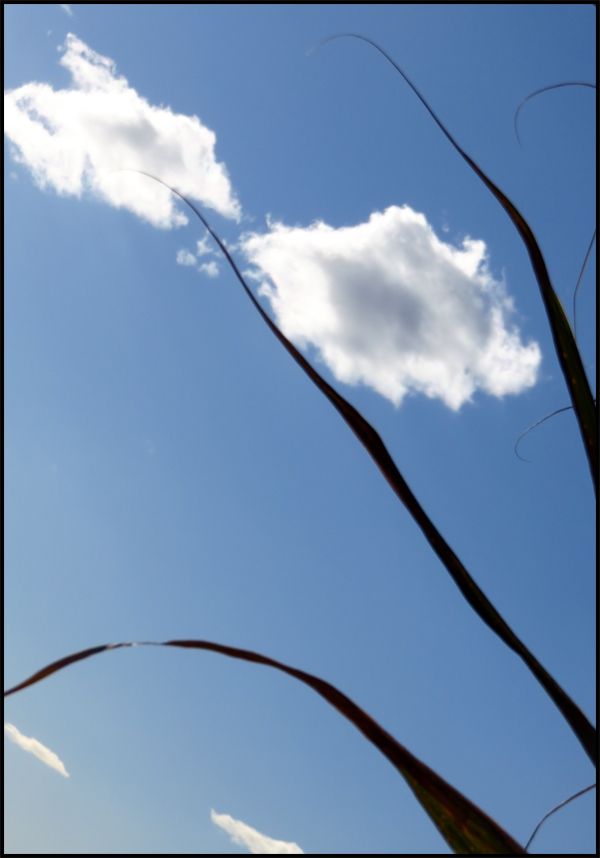 12/02/2018 - 15 H 37