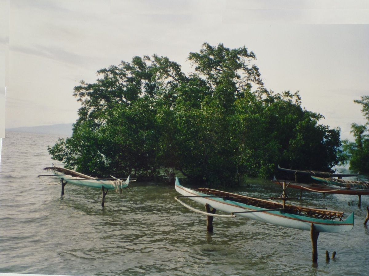 Journal des Moluques, janvier 1992