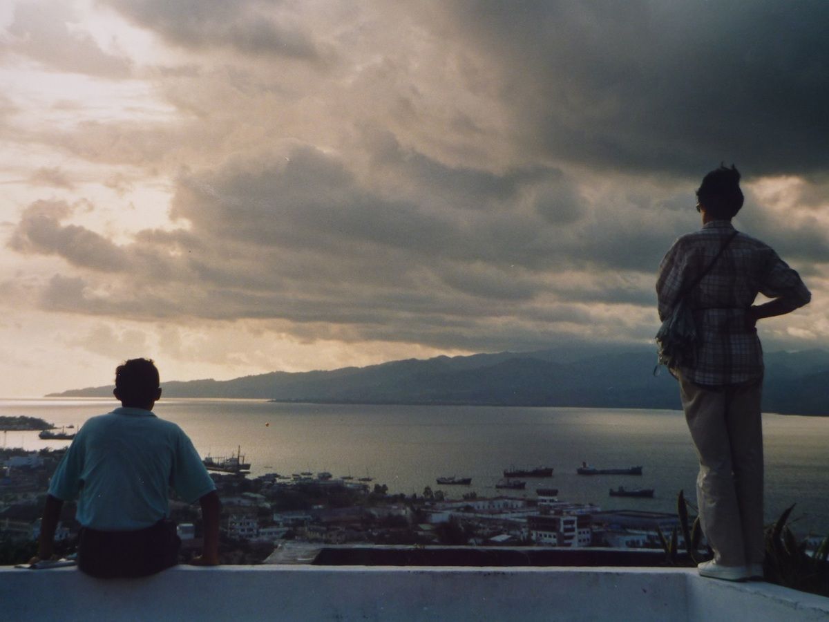 Ambon : la ville et la baie.
