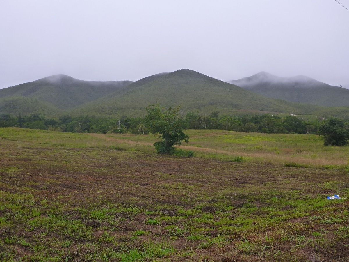 entre Ouégoa et Koumac