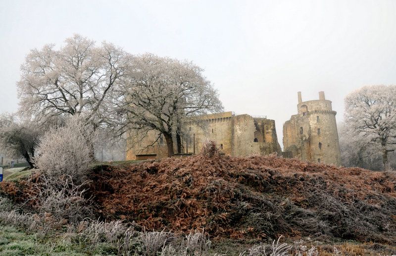 MA GENEALOGIE : BEAUMANOIR - TOURNEMINE - TIPHAINE DU GUESCLIN... UNE HISTOIRE DE FAMILLE !