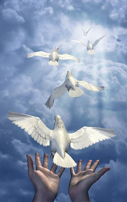 Bonne Fete De Pentecote Que Le Feu De L Esprit Saint 12 Soit En Chacun De Nous Monseigneur Et Mondieu Bonne Fete De Pentecote Que Le Feu De L Esprit Saint 12 Soit En Chacun De Nous Monseigneur Et Mondieu