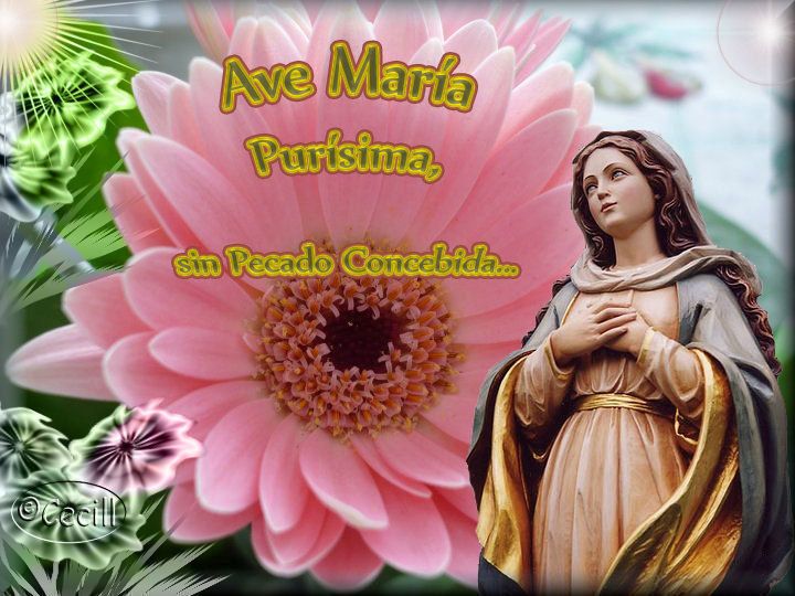 Great Novena To The Immaculate Conception