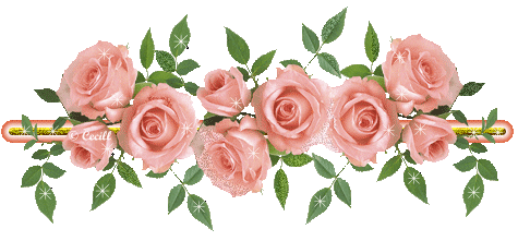 Le testament de sainte Bernadette Soubirous - Page 2 Ob_a64b59_barre-roses-rose
