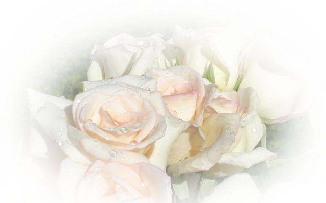 Medjugorje: Message du mois à Marija de Notre Dame de la Paix (Notre Gospa) du 25 Mai 2019