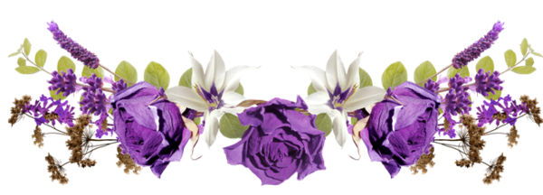 ob_56ab7e_ob-487b82-barre-3gdesroses-vio