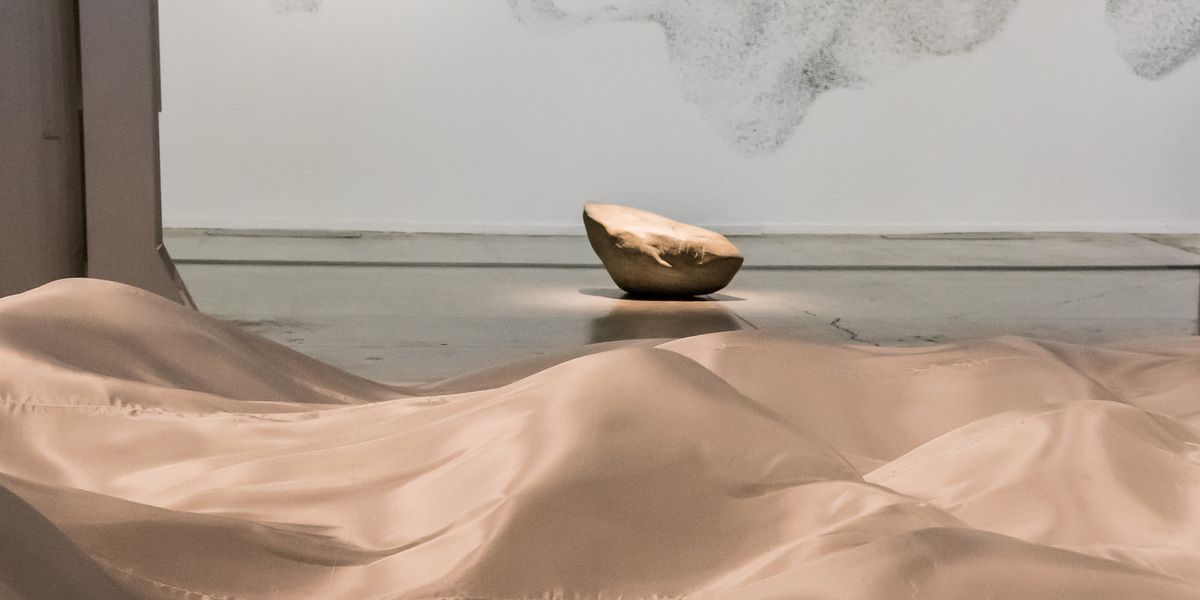 Biennale d'Art Contemporain - Lyon 2017
