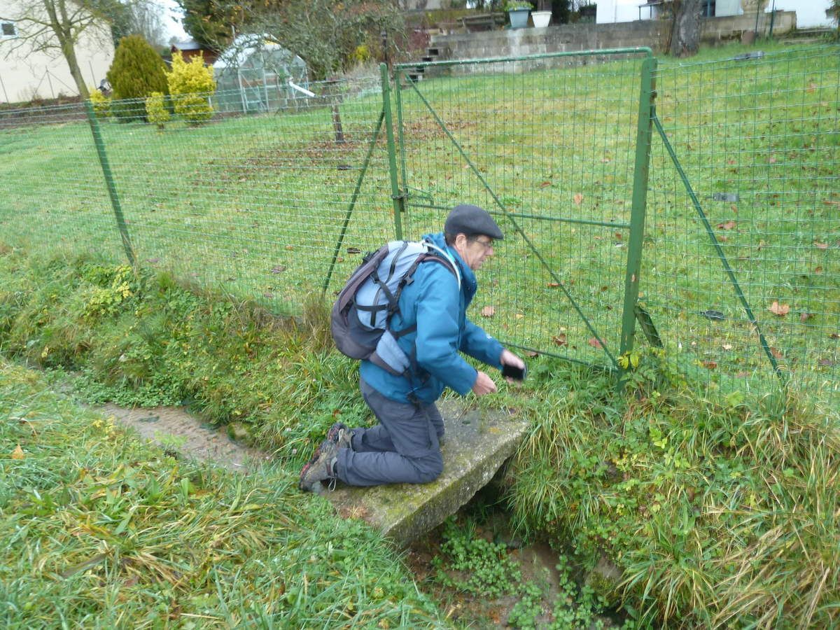 Randonnée de Viarmes à Luzarches - 20 km.