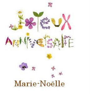 Bon Anniversaire Marie Noelle Le Blog De La Famille Ynard