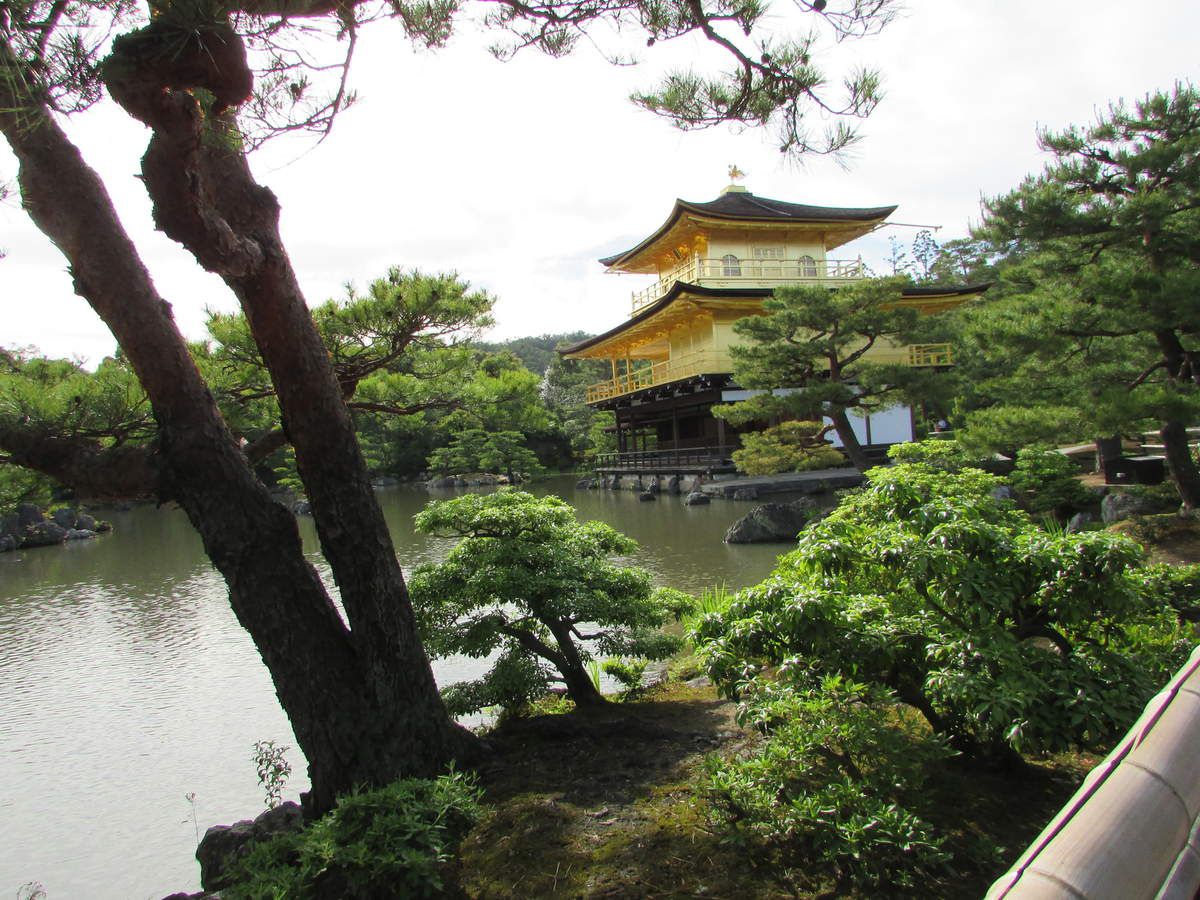 Le pavillon d'or de Kyoto.