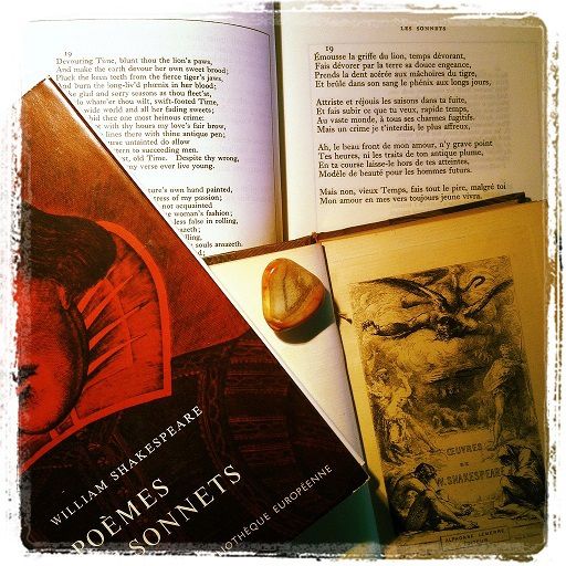 Traduire et vivre les Sonnets de Shakespeare, suivi de quelques traductions  : XVIII, XIX, LXXVI, LXXXVI, CXXVII et CXLIV. -  thierry-guinhut-litteratures.com