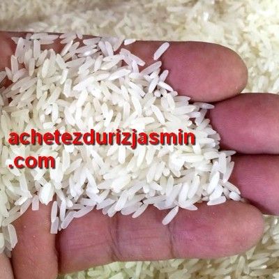 Sept. 2010 - Les CHAMPIGNONS - votre sujet préféré sur NATURE(S)! - Top 10