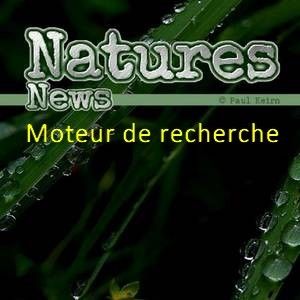 moteurs de recherche