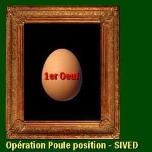 distribution de poulailler pour réduire le cout de retraitement des déchets alimentaires