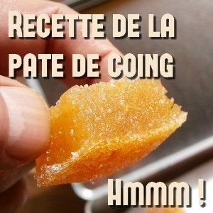 Comment faire la pâte de coing de A à Z truc et astuces