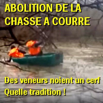 Chasse à courre : une opinion parmi les 84% de français qui sont pour l'abolition