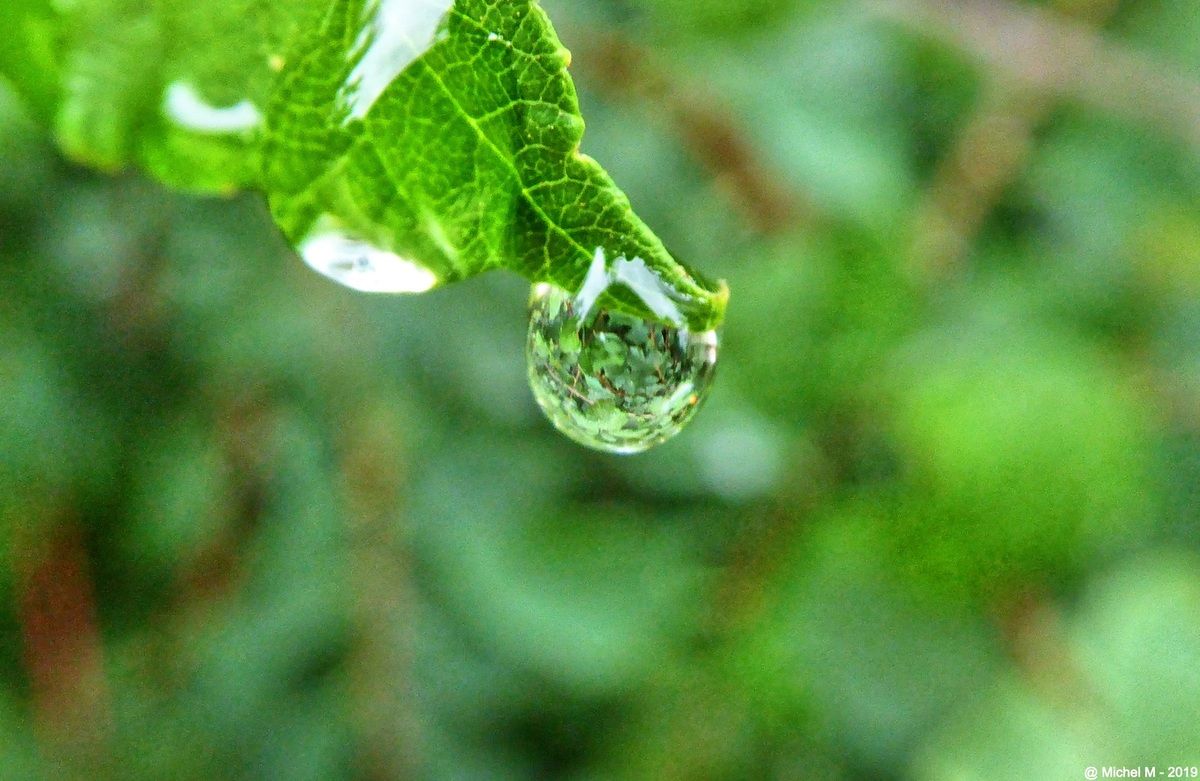 Les bienfaits de la pluie La