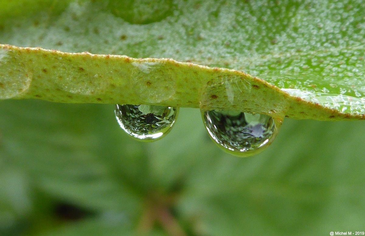 Les bienfaits de la pluie La