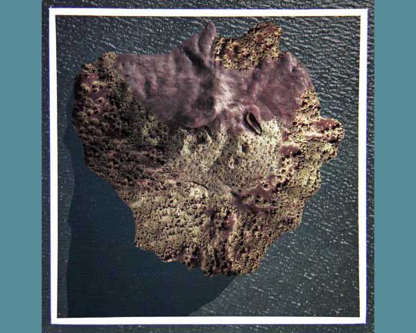 Nisyros 06, le musée du volcan. Le 13 septembre 2014