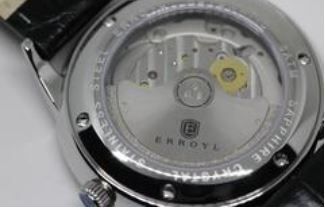 Erroyl Montres Bonnes Affaires