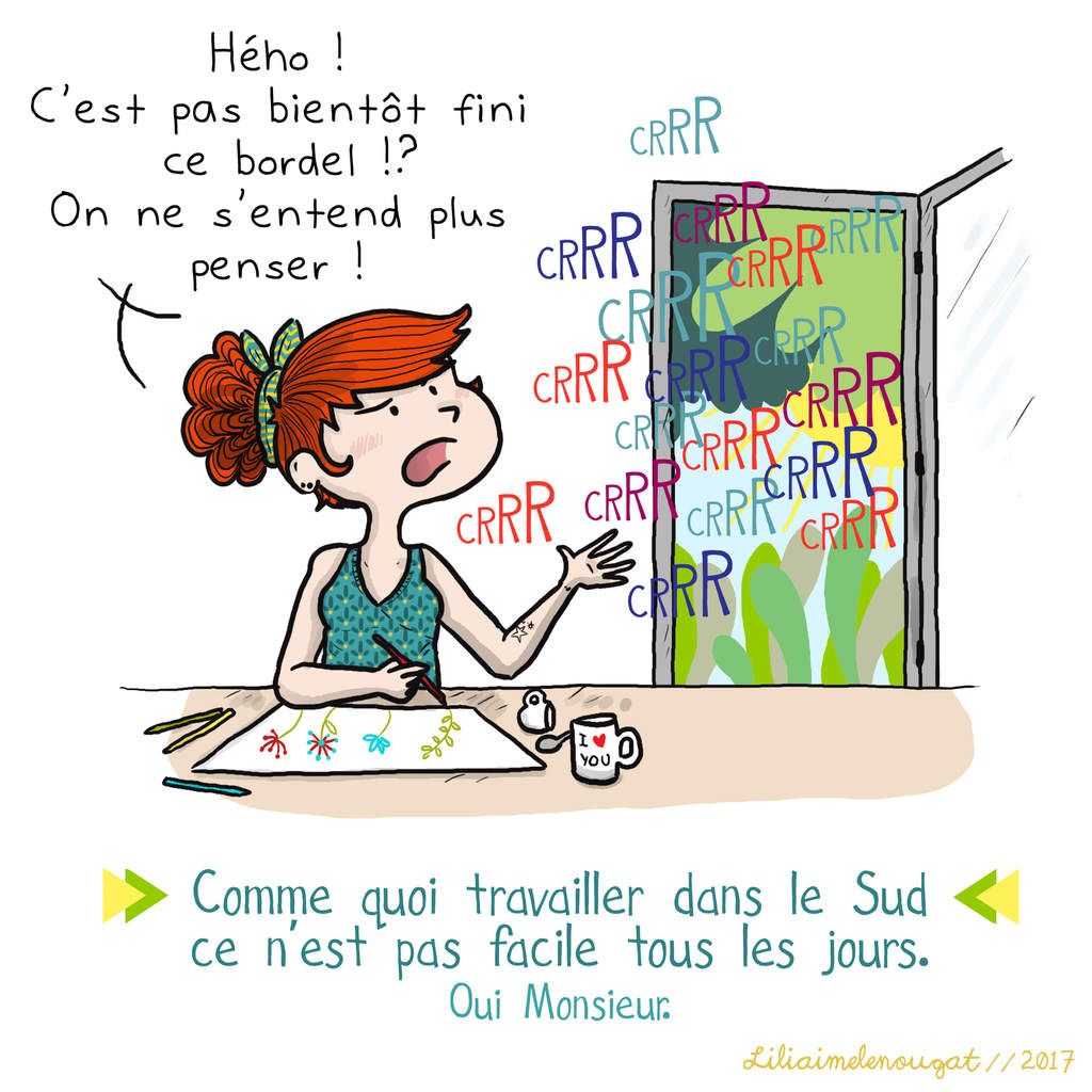 ob_e8d9fc_​travailler​-dans-le-s​ud-humour-​liliaime