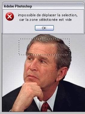 cerveau bush vide .jpg