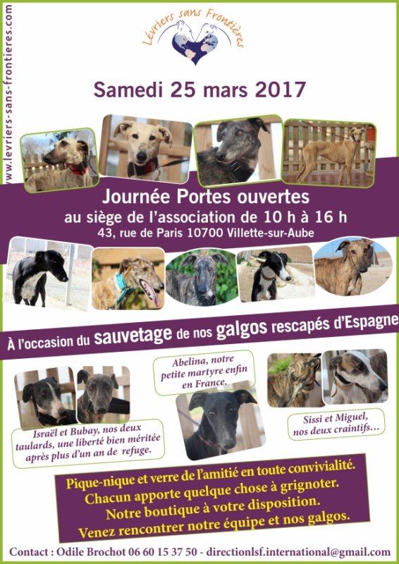 Maxi zoo varennes sur seine Maxi zoo varennes sur seine