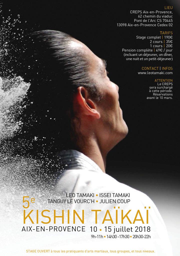 Kishintaikai Aikido Kishinkai seminar Leo Tamaki Issei Tnaguy le Vourch Julien Coup