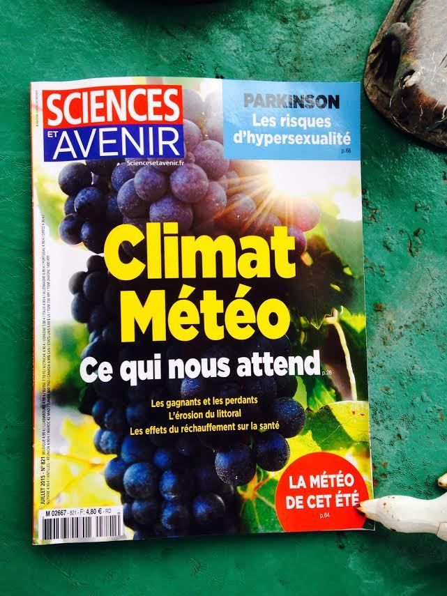 Coup de chaud : déménagement du territoire, nos terroirs viticoles en danger vont-ils aller chercher de la fraîcheur en montant vers le Nord ?
