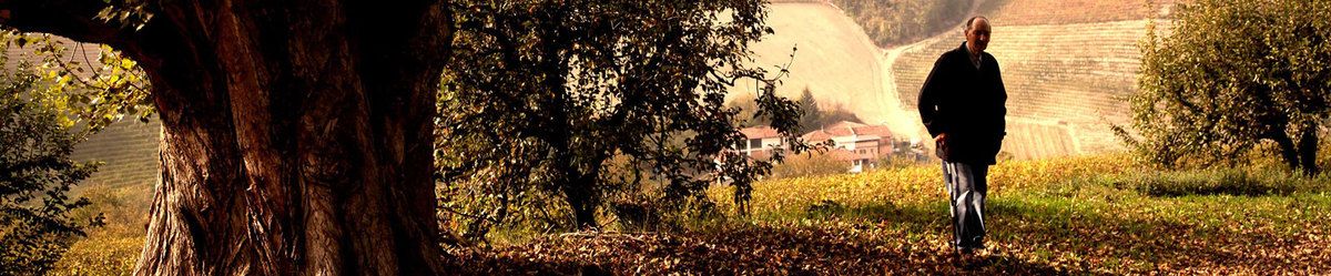 1986, Beppe Colla président du « Consorzio Barolo Barbaresco » pleurait devant les caméras après le scandale du vin au méthanol