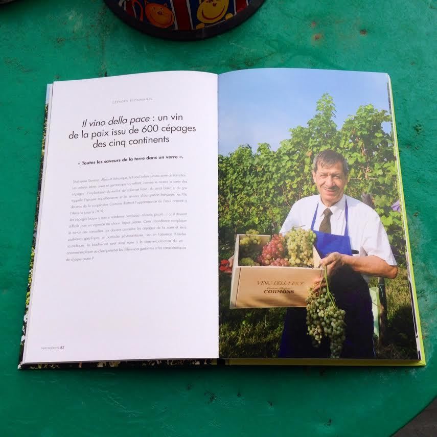 Le vin est un « être » accueillant, il ouvre grand ses larges bras à l’insolite… avec Pierrick Bourgault